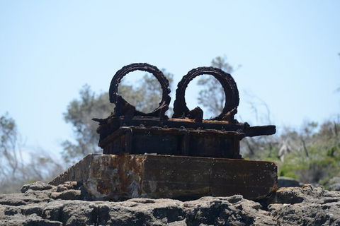 Jervis Bay Passage Tour - Accommodation Rockhampton 4