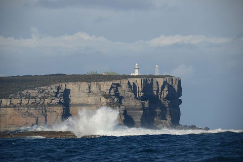 Jervis Bay Passage Tour - Accommodation Rockhampton 8