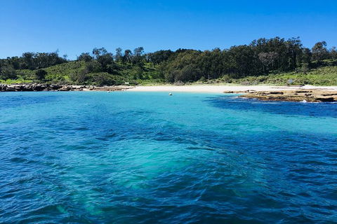 Jervis Bay Passage Tour - Accommodation Rockhampton 2