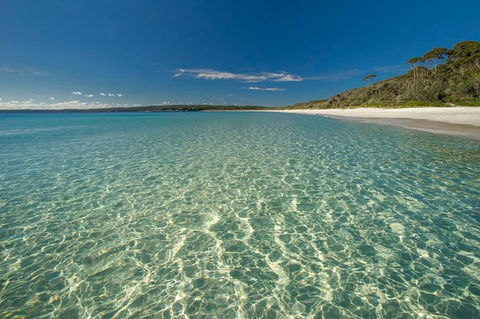Jervis Bay South Coast Day Trip From Sydney - Cycling - Accommodation Rockhampton 0