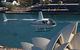 Private Tour: Sydney Helicopter Flight And Sydney Harbour Lunch - thumb 0