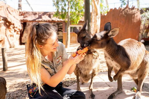 WILD LIFE Sydney Entrance Ticket - Accommodation Rockhampton 18