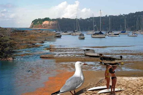 Sydney's Northern Beaches - Paradise In A City - Accommodation Rockhampton 0