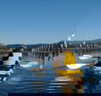 Batemans Bay Oyster Tasting Kayak Tour - Accommodation Rockhampton