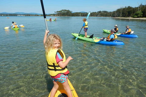 Batemans Bay Glass-Bottom Kayak Tour Over 2 Relaxing Hours - Accommodation Rockhampton 2