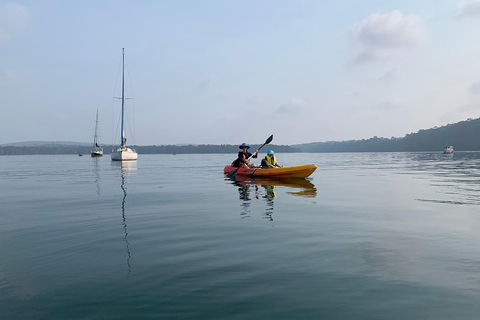 Batemans Bay Glass-Bottom Kayak Tour Over 2 Relaxing Hours - Accommodation Rockhampton 7