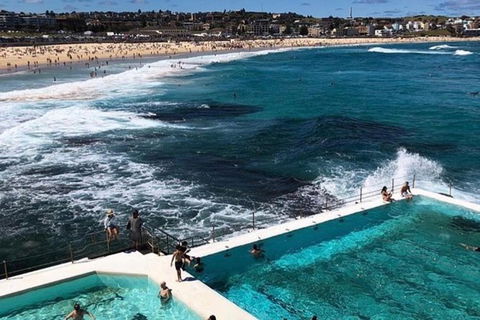 Private Sydney City To Bondi Coast Tour With Waterfront Lunch - Accommodation Rockhampton 2