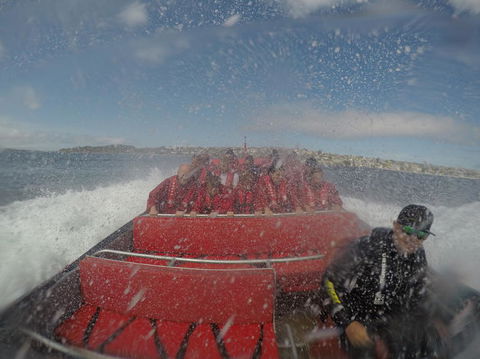 Sydney Harbour Jet Boat Thrill Ride: 30 Minutes - Accommodation Rockhampton 5