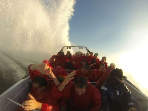 Sydney Harbour Jet Boat Thrill Ride: 30 Minutes - Accommodation Rockhampton 15