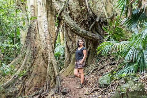 South Coast Private Bucket List Full Day Tour - Accommodation Rockhampton 0