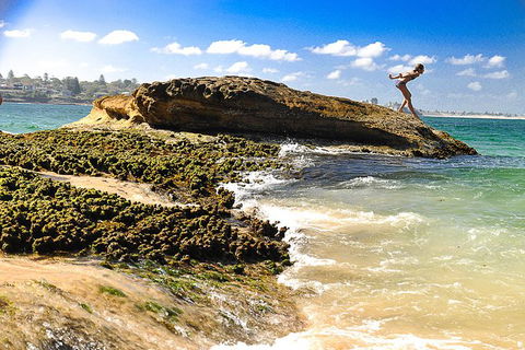 South Coast Private Bucket List Full Day Tour - Accommodation Rockhampton 1
