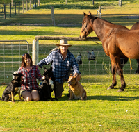 Meet The Animals - Accommodation Rockhampton