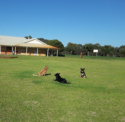 Meet The Animals - Accommodation Rockhampton 3