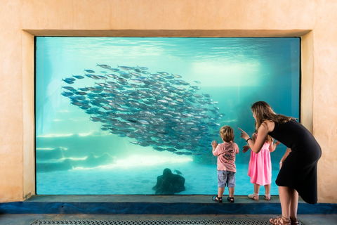 AQWA The Aquarium Of Western Australia - Accommodation Rockhampton 0