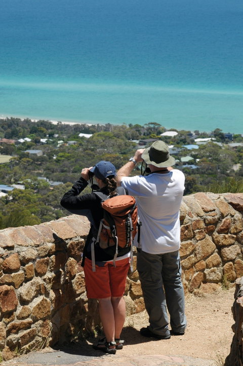 Arthurs Seat State Park - Accommodation Rockhampton 2