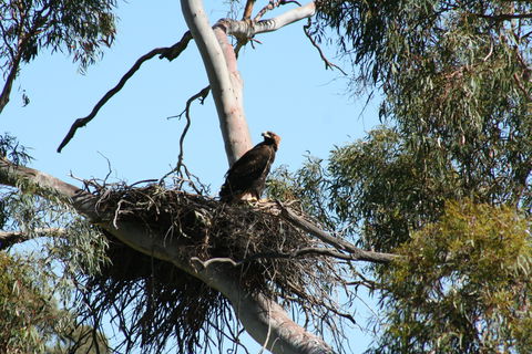 Castle Creek Reserve - Accommodation Rockhampton 0