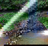 Crystal Shower Falls Walk - Accommodation Rockhampton