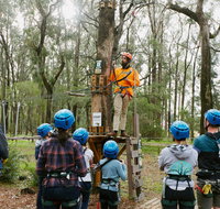 Forest Adventures South West - Accommodation Rockhampton