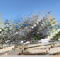 Gregory's Tree Timber Creek - Accommodation Rockhampton