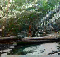 Great Beach Drive - 3 Day Itinerary - Accommodation Rockhampton