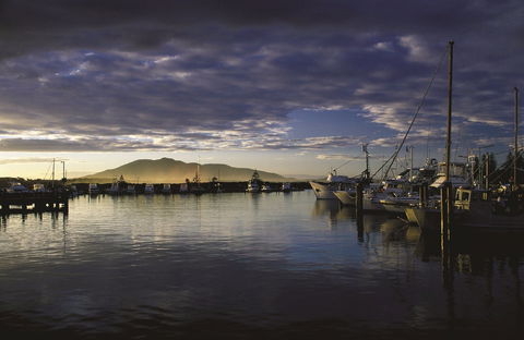 Gulaga National Park - Accommodation Rockhampton 1