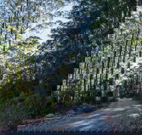 Hastings Forest Way Touring Route - Accommodation Rockhampton