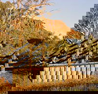 Illamurta Springs Conservation Reserve - Accommodation Rockhampton