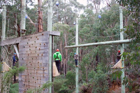 Kinglake Forest Adventures - Accommodation Rockhampton 1
