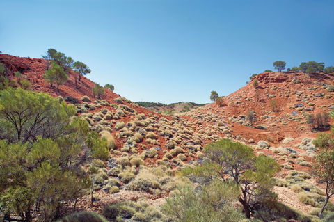 Lark Quarry Conservation Park - Accommodation Rockhampton 0