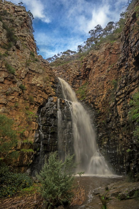 Morialta Conservation Park - Accommodation Rockhampton 0