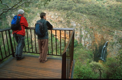 Morialta Conservation Park - Accommodation Rockhampton 2