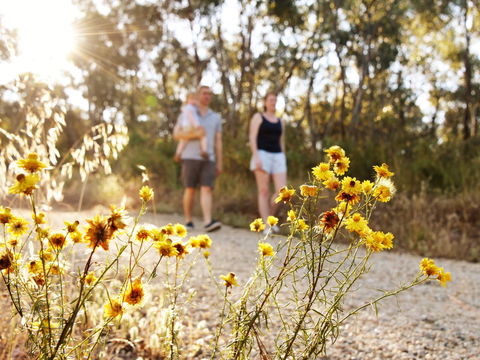 Nail Can Hill - Accommodation Rockhampton 0