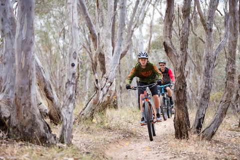Nail Can Hill - Accommodation Rockhampton 1