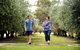 Olives Of Beaulieu - thumb 0