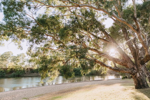 Riverside:  Wagga Beach - Accommodation Rockhampton 1