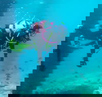 Shellharbour Scuba  and Photography Centre - Accommodation Rockhampton