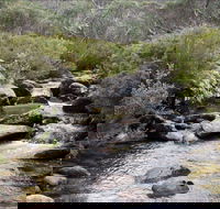 Thredbo River Track - Accommodation Rockhampton