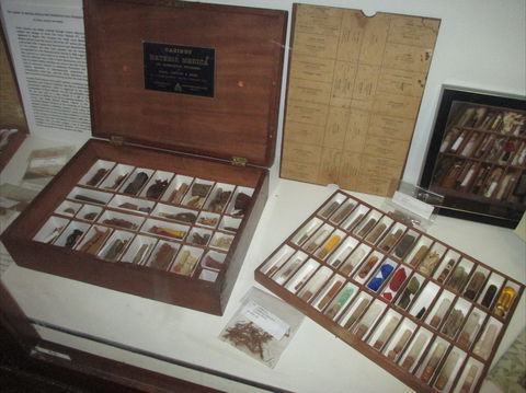 UQ Marks-Hirschfeld Museum Of Medical History - Accommodation Rockhampton 0