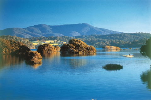 Wagonga Picnic Area - Accommodation Rockhampton 0