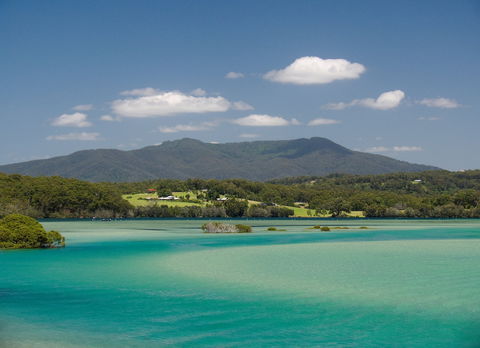 Wagonga Picnic Area - Accommodation Rockhampton 1