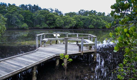 Walk On Water Walking Track - Accommodation Rockhampton 0