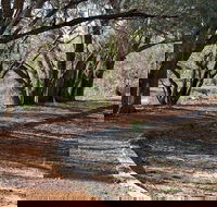 Warrego Floodplain walking track - Accommodation Rockhampton