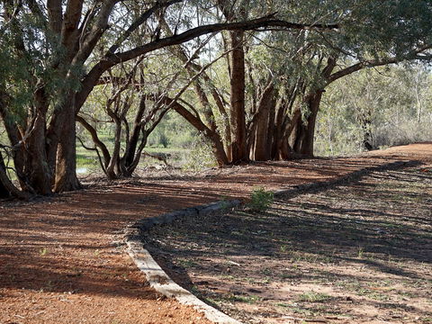Warrego Floodplain Walking Track - Accommodation Rockhampton 0
