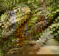 William Ricketts Sanctuary - Accommodation Rockhampton