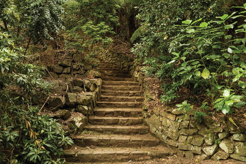 William Ricketts Sanctuary - Accommodation Rockhampton 1