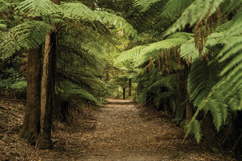 William Ricketts Sanctuary - Accommodation Rockhampton 2