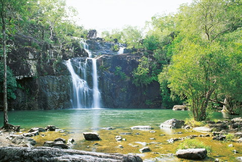 Airlie Beach To Cedar Creek Falls - Accommodation Rockhampton 0