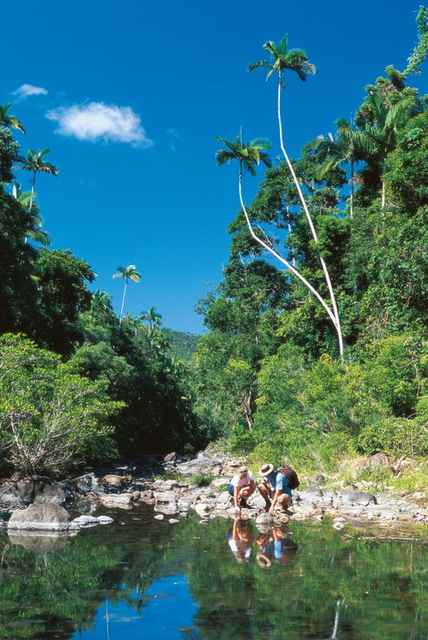 Airlie Beach To Cedar Creek Falls - Accommodation Rockhampton 1