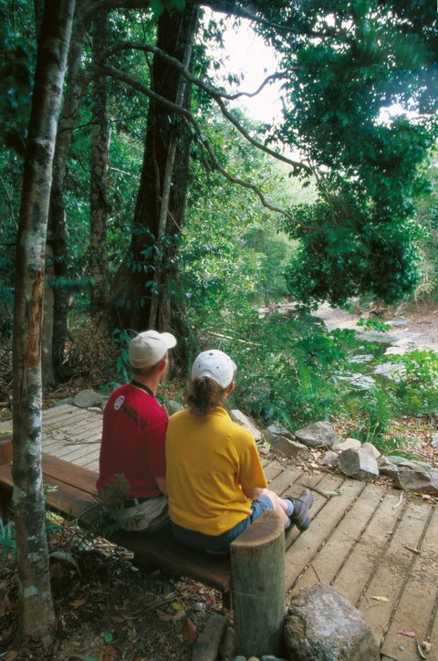 Airlie Beach To Cedar Creek Falls - Accommodation Rockhampton 2