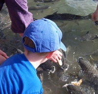 Aquascene - Accommodation Rockhampton
